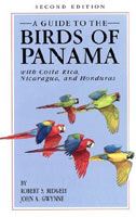 Birds Panama